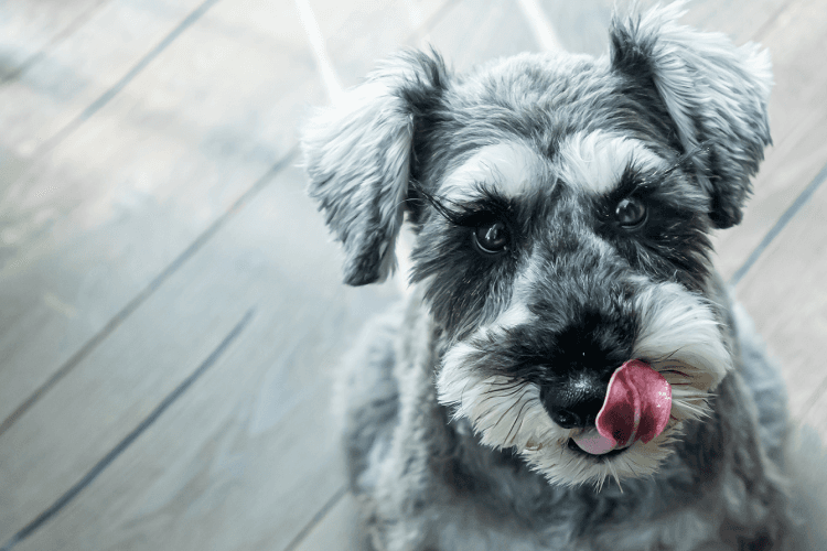 section_5_face_closeup