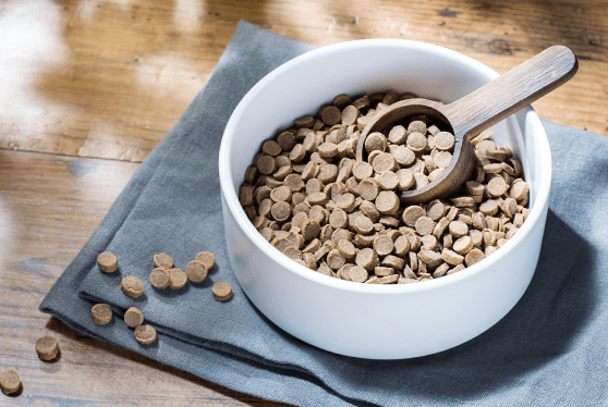 OBREMO説明用フード画像