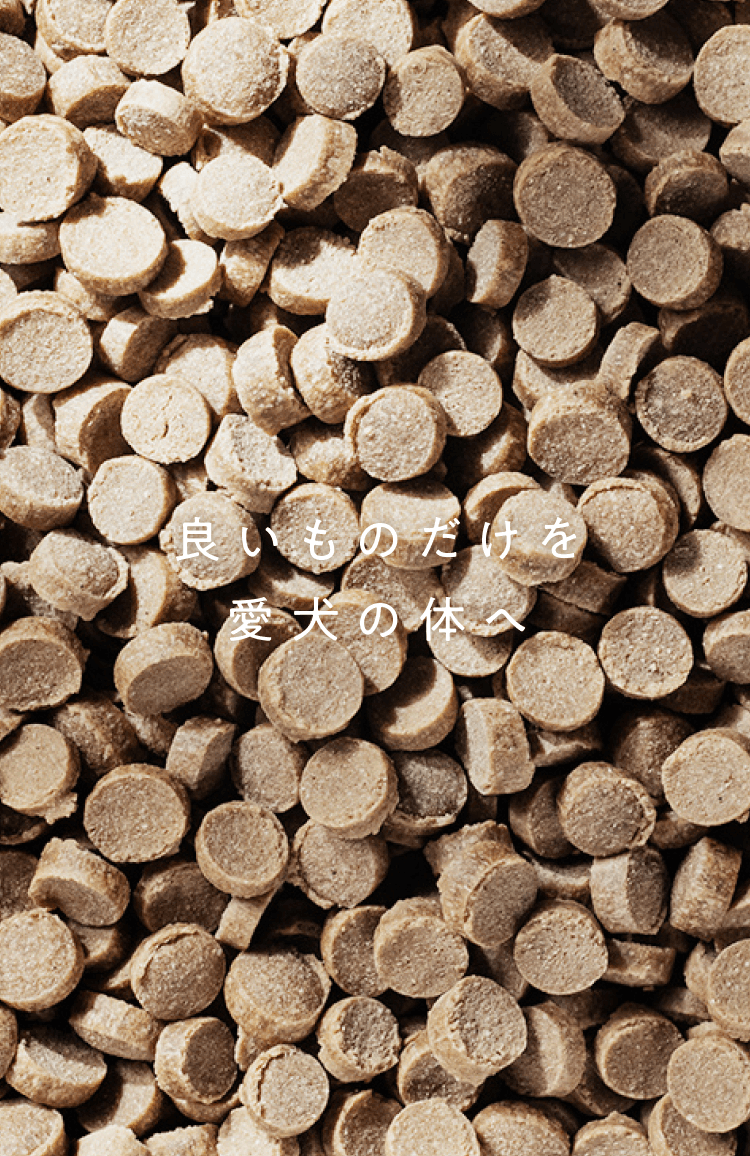 良いものだけを愛犬の体へ